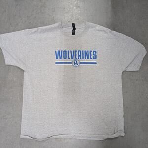 Hanes Wolverines Graphic T-Shirt Gray Making of Champions
